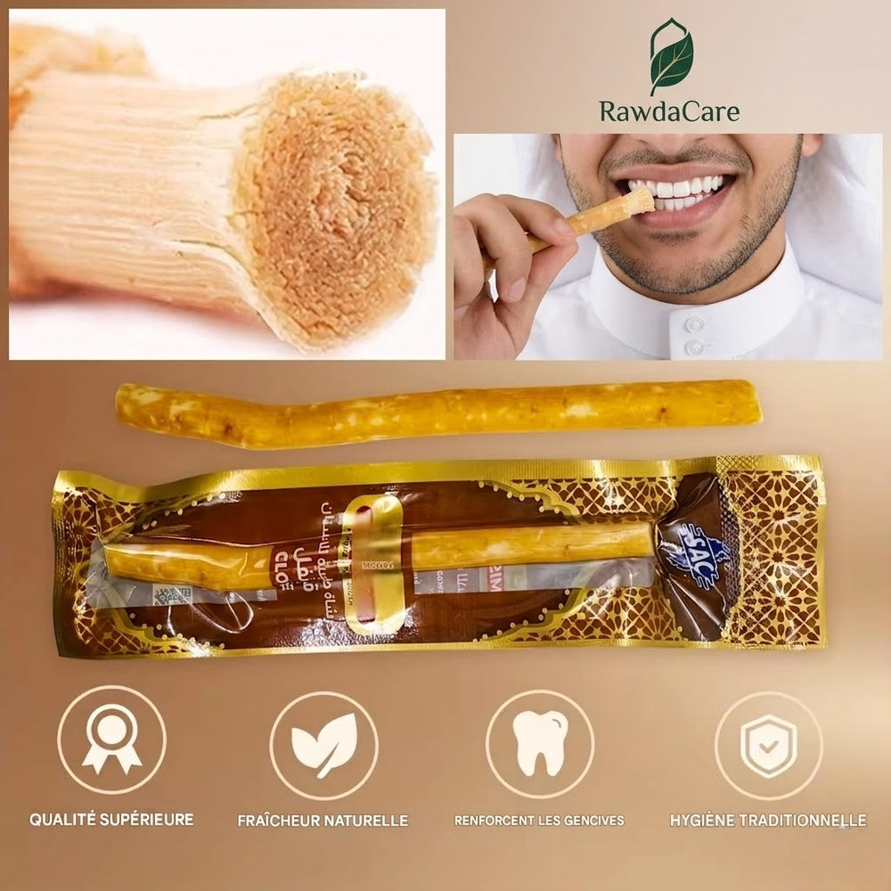 Siwak naturel scellé sous vide, Salvadora Persica